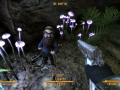 FalloutNV 2012-05-18 23-13-36-36.png